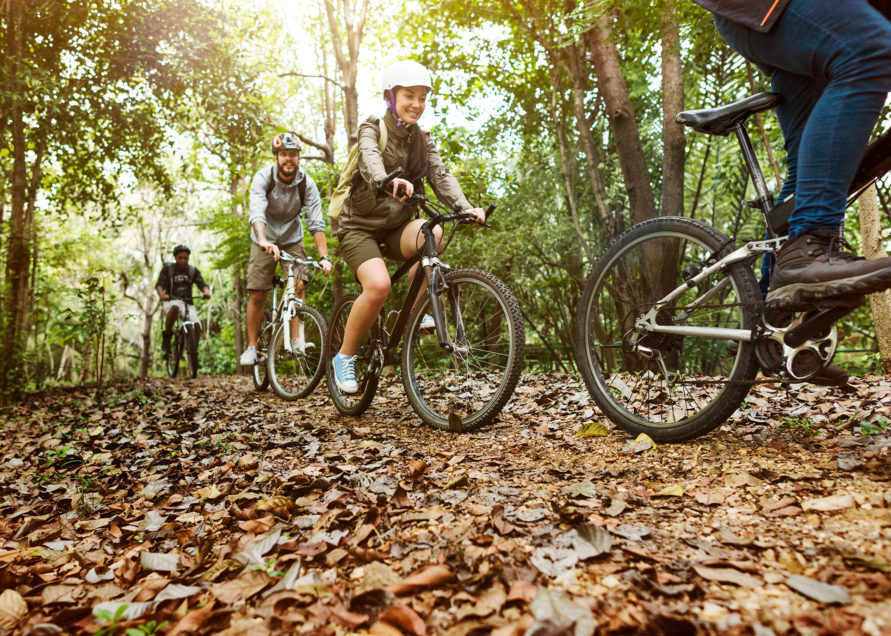 Bicycle tours